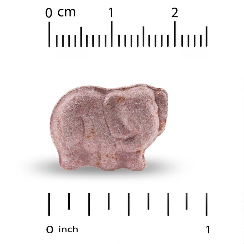 California Gold Nutrition, жувальні мультивітаміни з пробіотиками та ферментами для дітей, фруктове асорті, 60 вегетаріанських таблеток